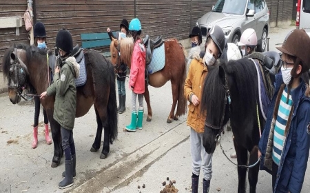 Poney pour les CP séance 2