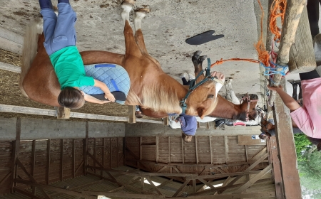 Poney pour les CP séance 3