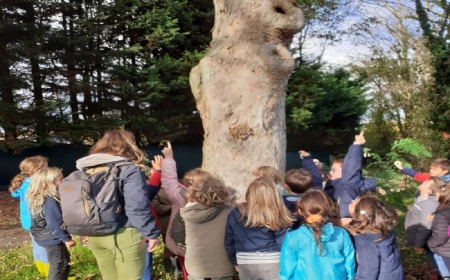 Les arbres m'ont dit