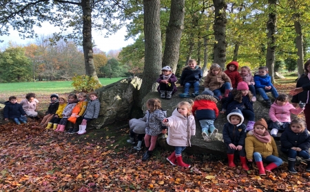 Sortie en forêt pour les petits, moyens, grands